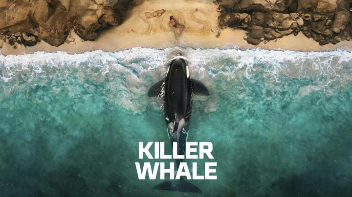 فيلم Killer Whale 2026 مترجم كامل HD