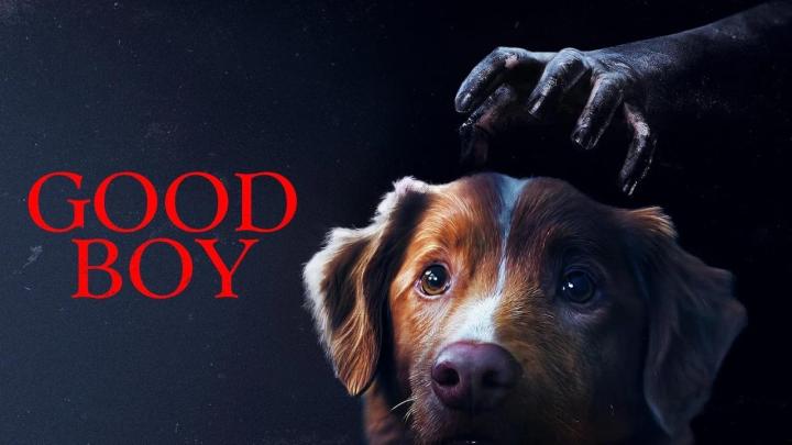 فيلم Good Boy 2025 مترجم كامل HD